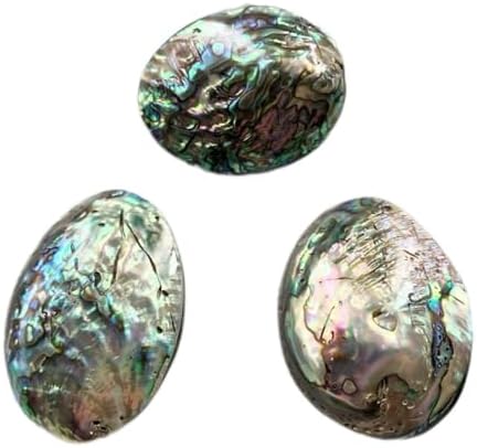 MQXFCZUX Collections de la Maison 10pc Naturel Ormeau Coquille Collier Pendentif Bijoux Orniments Décoration (taille: avec trou)