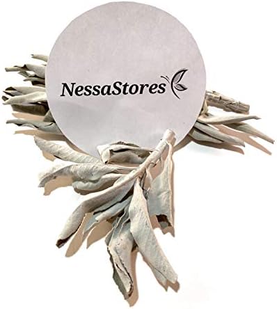 Nessastores Sauge Blanche de Californie en Vrac de 56,7 G - Entièment Naturelle, d'Origine éthique pour le netoyage de la Maison, Le Soulagement du Stress, L'Aromathérapie et la purification des - Image 2