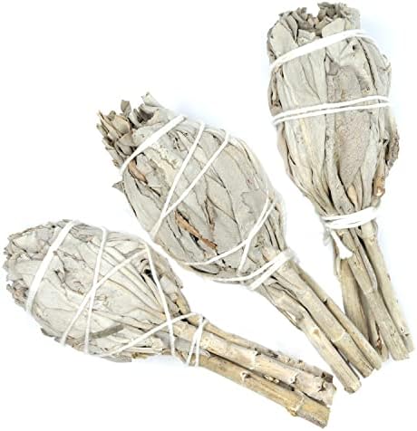 Farbenwald lot de 3 fagots de Sauge Blanche à Brueler, Environ 11 cm de Long, Bâtonnets, Provenant de Salvia apana de Californie, Encens