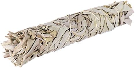 Nklaus 1x xxl Sauge Blanche White Sage Smudge Stick 24cm 9,5? Salvia apaina 80G 6723