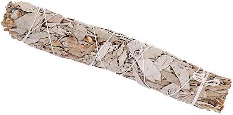 Nklaus 1x xl Sauge Blanche Scudge bâtons 65g Nature Salvia apaina fagot d'cens 6725