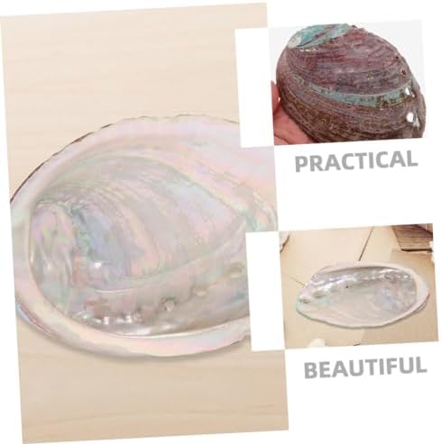 Qumiirity Stand d'Aromathérapie Ornelement de Coquille d'Ormeau Océan Modèle de Coquilage Cônes D 'à reflux titulaire Brûleur Corne de Conque Pot de Bavures Porte- pour Bâtons Mer - Image 4