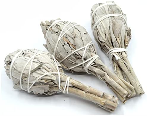 Farbenwald lot de 3 fagots de Sauge Blanche à Brueler, Environ 11 cm de Long, Bâtonnets, Provenant de Salvia apana de Californie, Encens - Image 2