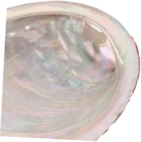 Amosfun 5 Ensembles Coquille d'Ormeau Brûeur D 'Porte- MATÉRIAU EN COQUILLE D'ABALONE DÉCORATIF ET CHIC ORNATION DE COQUILLE RUGUEUSE DÉCOR DE COQUILLE DE MÉNAGE 2 PIÈCES * 5 - Image 3