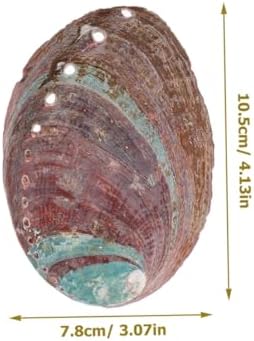 Amosfun 5 Ensembles Coquille d'Ormeau Brûeur D 'Porte- MATÉRIAU EN COQUILLE D'ABALONE DÉCORATIF ET CHIC ORNATION DE COQUILLE RUGUEUSE DÉCOR DE COQUILLE DE MÉNAGE 2 PIÈCES * 5 - Image 5