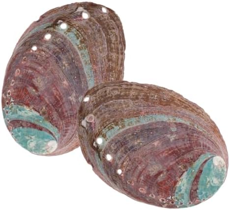 Amosfun 5 Ensembles Coquille d'Ormeau Brûeur D 'Porte- MATÉRIAU EN COQUILLE D'ABALONE DÉCORATIF ET CHIC ORNATION DE COQUILLE RUGUEUSE DÉCOR DE COQUILLE DE MÉNAGE 2 PIÈCES * 5 - Image 2