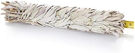 Nklaus 1x xxl Sauge Blanche White Sage Smudge Stick 24cm 9,5? Salvia apaina 80G 6723 - Image 2