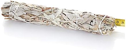 Nklaus 1x xl Sauge Blanche Scudge bâtons 65g Nature Salvia apaina fagot d'cens 6725 - Image 2