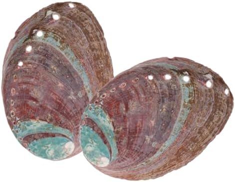 Amosfun 5 Ensembles Coquille d'Ormeau Brûeur D 'Porte- MATÉRIAU EN COQUILLE D'ABALONE DÉCORATIF ET CHIC ORNATION DE COQUILLE RUGUEUSE DÉCOR DE COQUILLE DE MÉNAGE 2 PIÈCES * 5 - Image 8