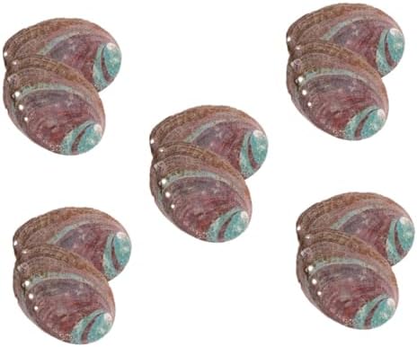 Amosfun 5 Ensembles Coquille d'Ormeau Brûeur D 'Porte- MATÉRIAU EN COQUILLE D'ABALONE DÉCORATIF ET CHIC ORNATION DE COQUILLE RUGUEUSE DÉCOR DE COQUILLE DE MÉNAGE 2 PIÈCES * 5