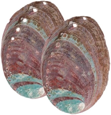 Amosfun 5 Ensembles Coquille d'Ormeau Brûeur D 'Porte- MATÉRIAU EN COQUILLE D'ABALONE DÉCORATIF ET CHIC ORNATION DE COQUILLE RUGUEUSE DÉCOR DE COQUILLE DE MÉNAGE 2 PIÈCES * 5 - Image 7