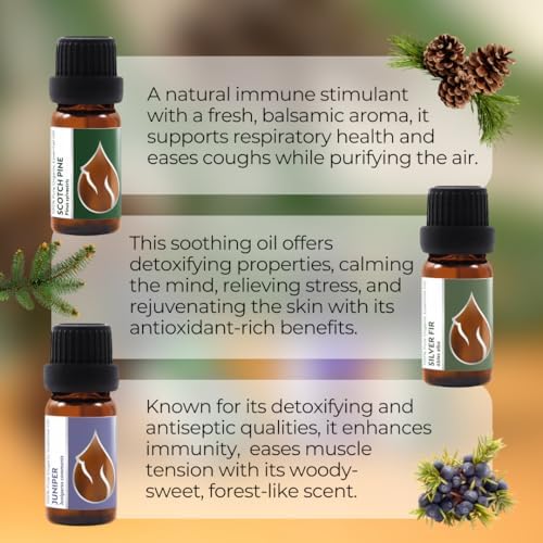 Coffret Huiles Essentielles Bio "Magie de Forêt" | Pin Sylvestre + Gémévrier + Sapin Argente | 100% pur et naturel | Non dilué | Qualité ThéRapeutique | Ferme Familiale | Non OGM | 3 pièces x 10 ml - Image 6