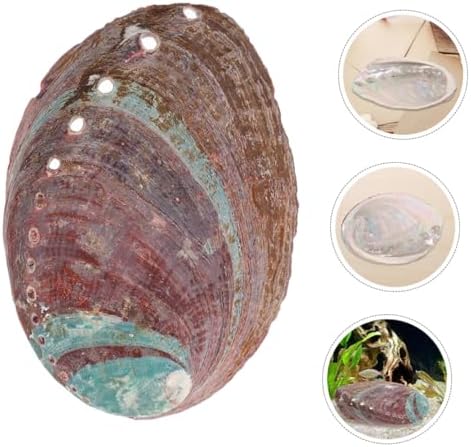 Qumiirity Stand d'Aromathérapie Ornelement de Coquille d'Ormeau Océan Modèle de Coquilage Cônes D 'à reflux titulaire Brûleur Corne de Conque Pot de Bavures Porte- pour Bâtons Mer - Image 6