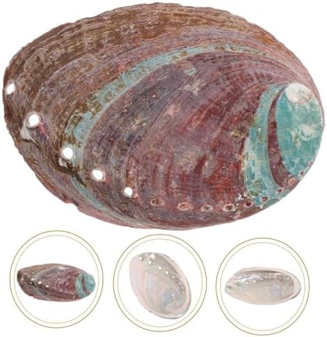 Amosfun 5 Ensembles Coquille d'Ormeau Brûeur D 'Porte- MATÉRIAU EN COQUILLE D'ABALONE DÉCORATIF ET CHIC ORNATION DE COQUILLE RUGUEUSE DÉCOR DE COQUILLE DE MÉNAGE 2 PIÈCES * 5 - Image 4