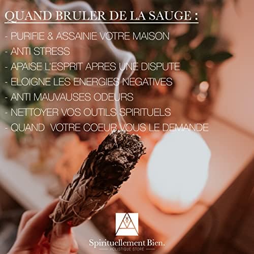 Baton Sauge Blanche à Bruler Salvia Apiana 95gr + Bois Palo Santo - Sauge Blanche Purification A Bruler Naturel - Fumigation et Ritual de purification Maison - Image 9