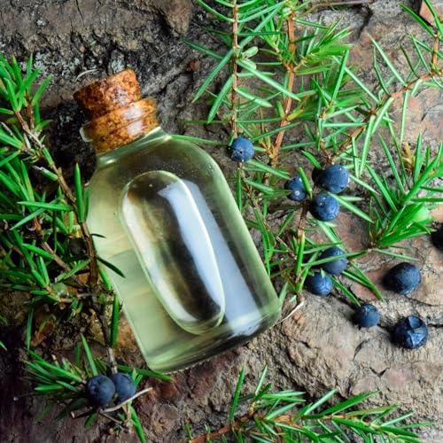 Coffret Huiles Essentielles Bio "Magie de Forêt" | Pin Sylvestre + Gémévrier + Sapin Argente | 100% pur et naturel | Non dilué | Qualité ThéRapeutique | Ferme Familiale | Non OGM | 3 pièces x 10 ml - Image 7